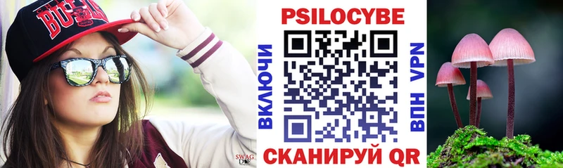 Галлюциногенные грибы прущие грибы  Ковров 